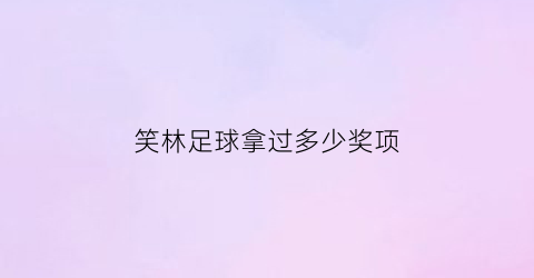 笑林足球拿过多少奖项(笑林超级足球赛)