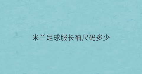 米兰足球服长袖尺码多少