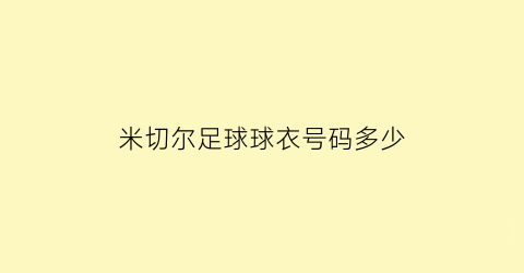 米切尔足球球衣号码多少