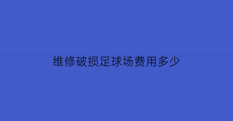 维修破损足球场费用多少(维修破损足球场费用多少合理)