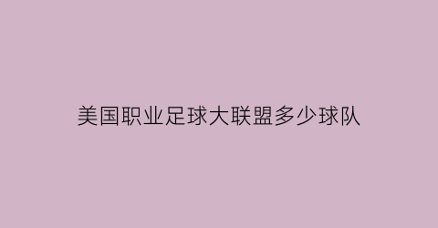 美国职业足球大联盟多少球队(美国职业足球大联盟球队出售)