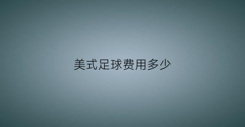 美式足球费用多少(美式足球收入)