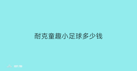 耐克童趣小足球多少钱(耐克童趣小足球多少钱一支)