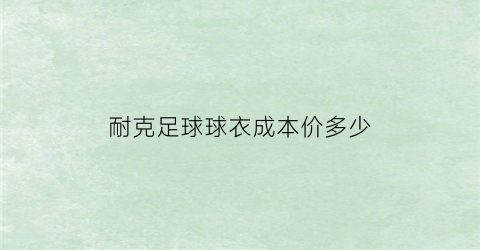 耐克足球球衣成本价多少(耐克足球球衣尺码数据)