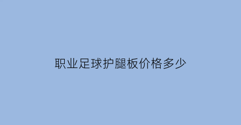 职业足球护腿板价格多少