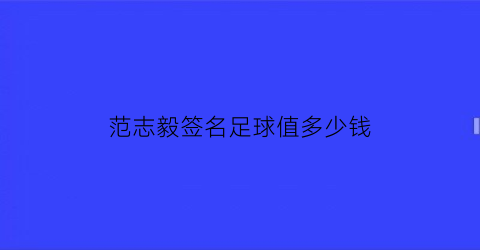 范志毅签名足球值多少钱(范志毅一批的球员)