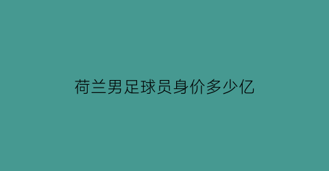 荷兰男足球员身价多少亿