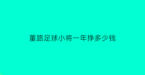 董路足球小将一年挣多少钱(董路足球小将有多少人)