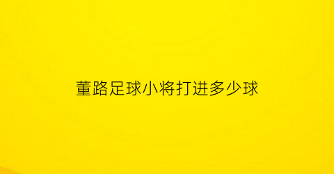 董路足球小将打进多少球