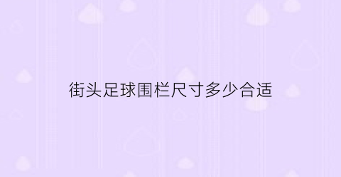 街头足球围栏尺寸多少合适(足球场围栏都有哪些种类价格)