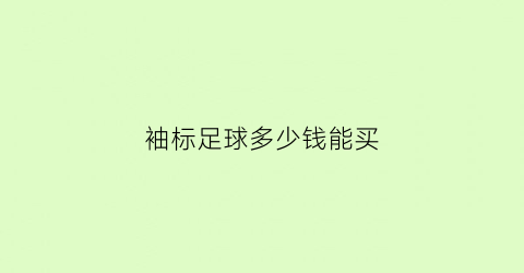 袖标足球多少钱能买(袖标足球多少钱能买一个)