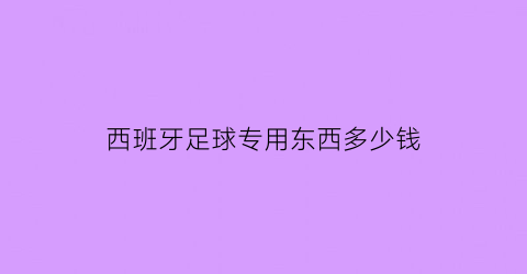 西班牙足球专用东西多少钱(西班牙踢足球怎么样)