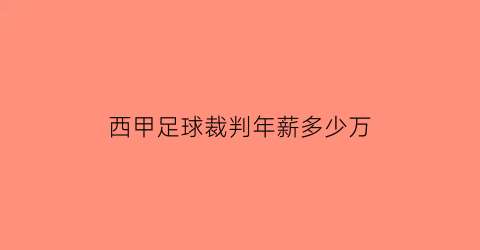 西甲足球裁判年薪多少万(中甲裁判员)