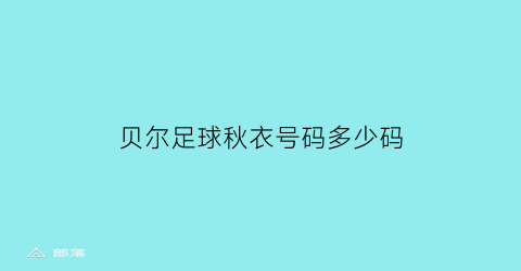 贝尔足球秋衣号码多少码(贝尔球员)