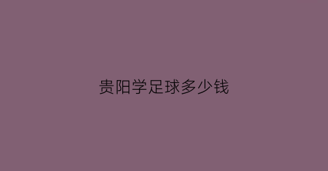 贵阳学足球多少钱(贵阳学足球多少钱一个月)