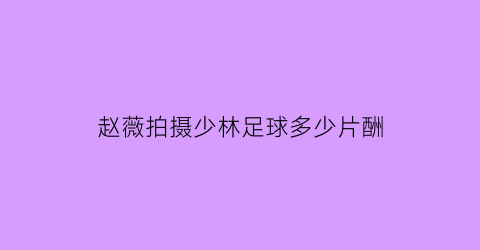 赵薇拍摄少林足球多少片酬(赵薇拍少林足球多大)