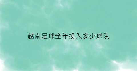 越南足球全年投入多少球队