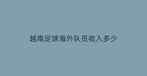 越南足球海外队员收入多少