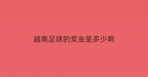 越南足球的奖金是多少啊(越南足球联赛100多进球)