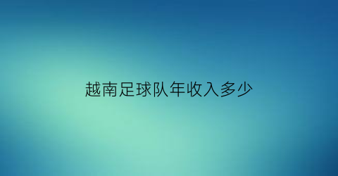 越南足球队年收入多少(越南足球队员名单)