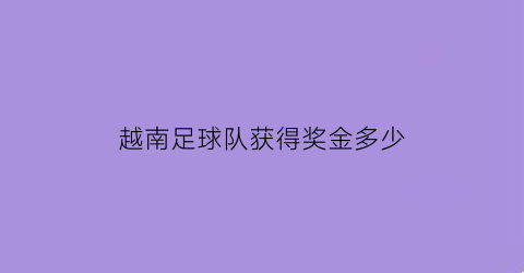 越南足球队获得奖金多少(越南足球队获得奖金多少啊)