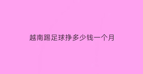 越南踢足球挣多少钱一个月(越南踢足球挣多少钱一个月工资)