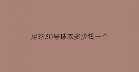 足球30号球衣多少钱一个(足球球衣号码30号)