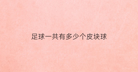 足球一共有多少个皮块球(足球一共有多少个皮块球员)