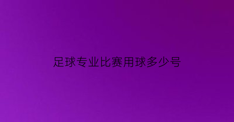 足球专业比赛用球多少号(足球比赛专用几号球)