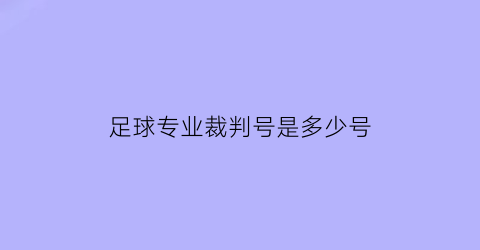 足球专业裁判号是多少号