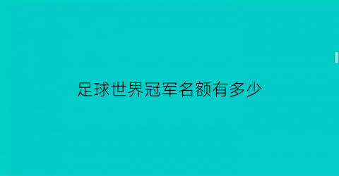 足球世界冠军名额有多少