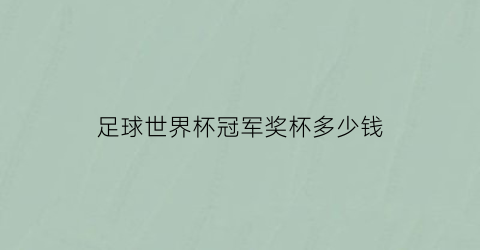 足球世界杯冠军奖杯多少钱(世界杯足球赛的冠军奖杯)