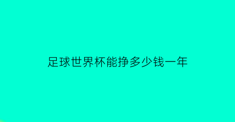 足球世界杯能挣多少钱一年