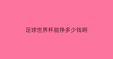 足球世界杯能挣多少钱啊