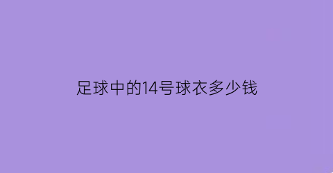 足球中的14号球衣多少钱