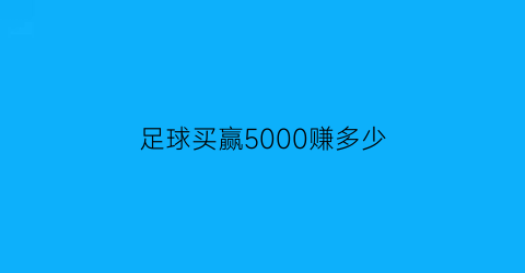 足球买赢5000赚多少(买足球最多赚多少钱)