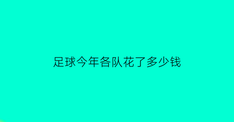 足球今年各队花了多少钱