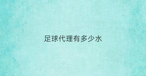 足球代理有多少水(足球代理平台)