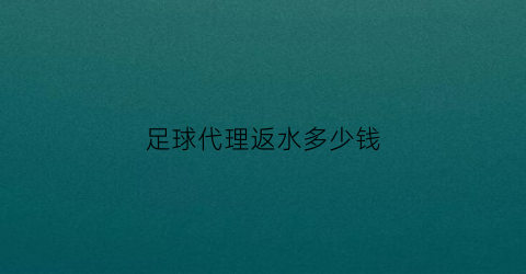 足球代理返水多少钱(足球代理提成)