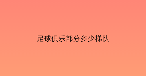 足球俱乐部分多少梯队(足球俱乐部数量)