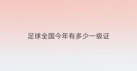 足球全国今年有多少一级证