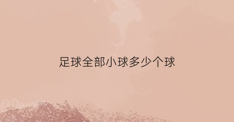 足球全部小球多少个球