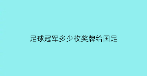 足球冠军多少枚奖牌给国足(足球比赛冠军多少枚金牌)