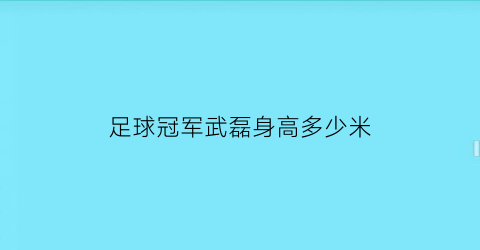 足球冠军武磊身高多少米