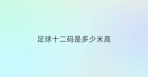 足球十二码是多少米高(足球12码是什么样的)