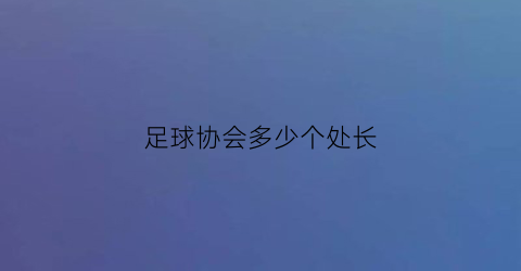 足球协会多少个处长