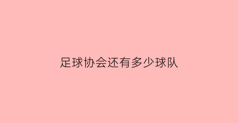 足球协会还有多少球队