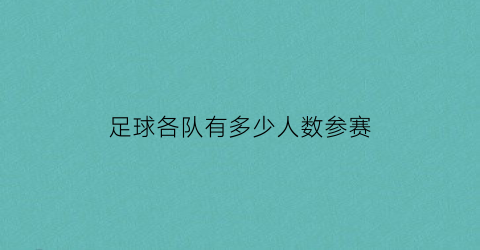 足球各队有多少人数参赛(足球赛每个队伍有多少个人)