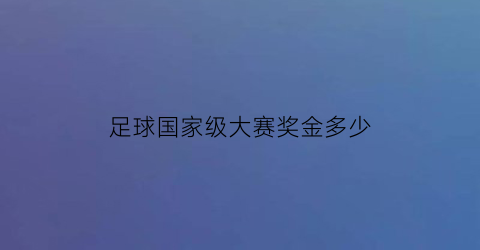 足球国家级大赛奖金多少