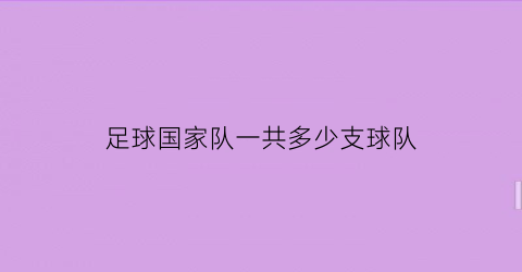 足球国家队一共多少支球队